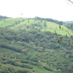 Alejandro's Coffee Farm