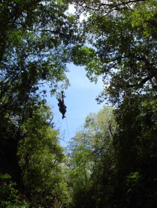 JumpinGoat Costa Rica Eco Tour Ziplining