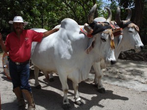 Travel Costa Rica